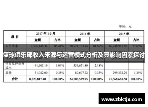 篮球俱乐部收入来源与运营模式分析及其影响因素探讨